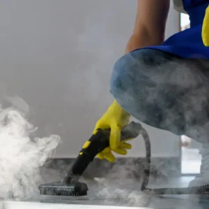 Cleaning Services